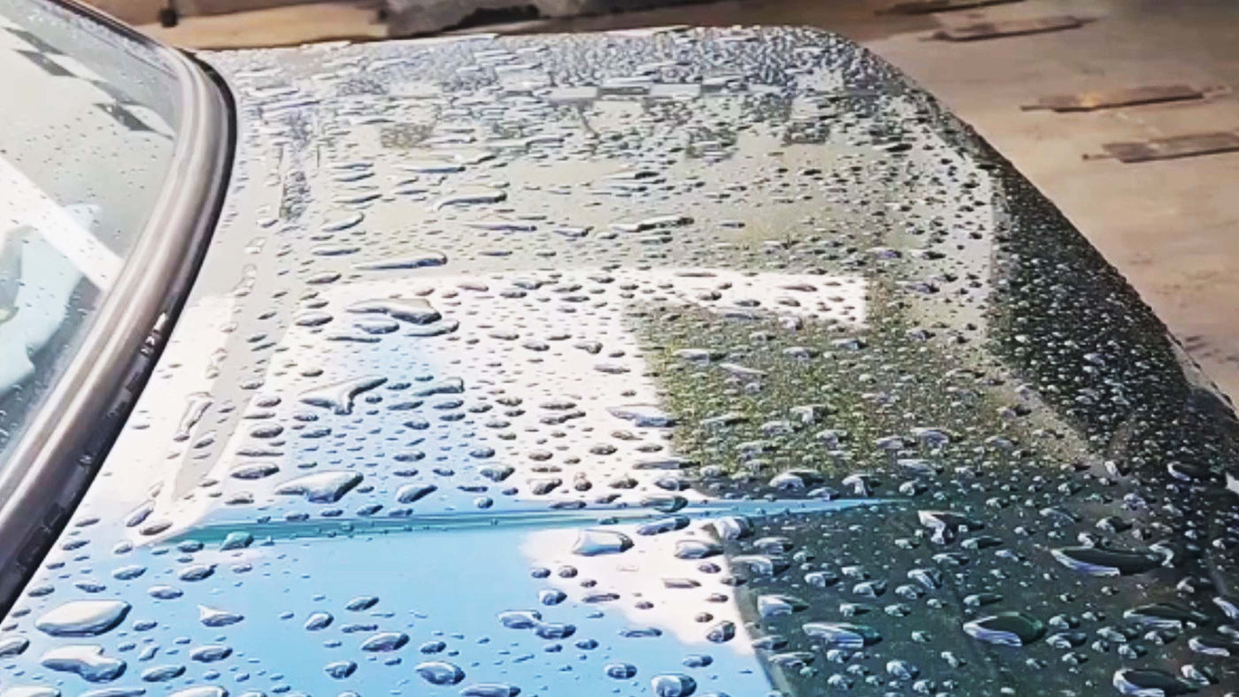 Before ImportWorx Treatment